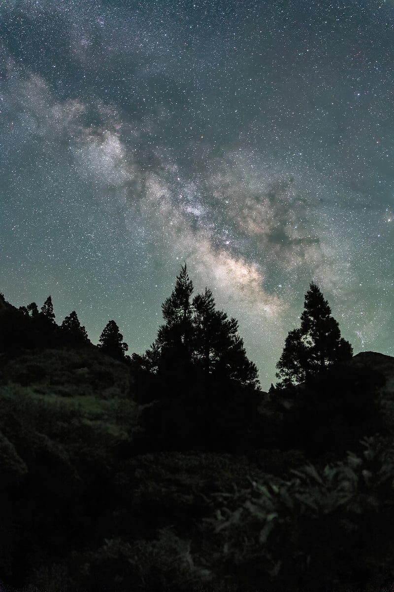 Cosmic Centerpiece